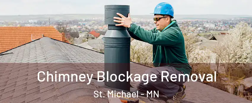  Chimney Blockage Removal St. Michael - MN