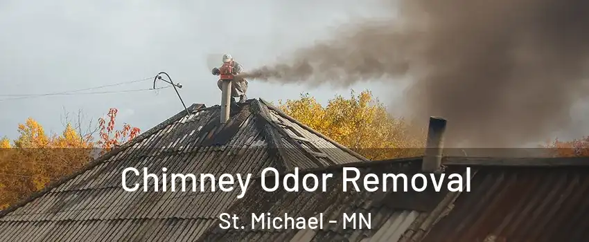  Chimney Odor Removal St. Michael - MN