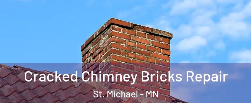  Cracked Chimney Bricks Repair St. Michael - MN