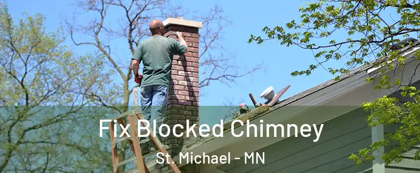  Fix Blocked Chimney St. Michael - MN