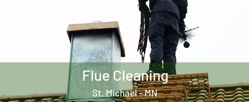  Flue Cleaning St. Michael - MN