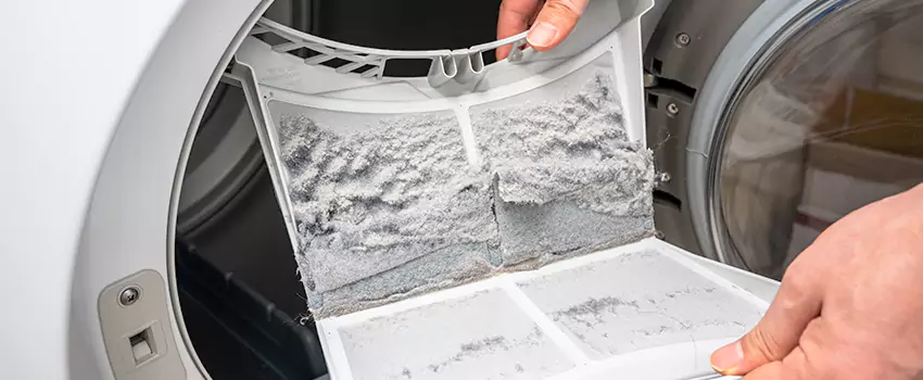 Best Dryer Lint Removal Company in St. Michael, Minnesota