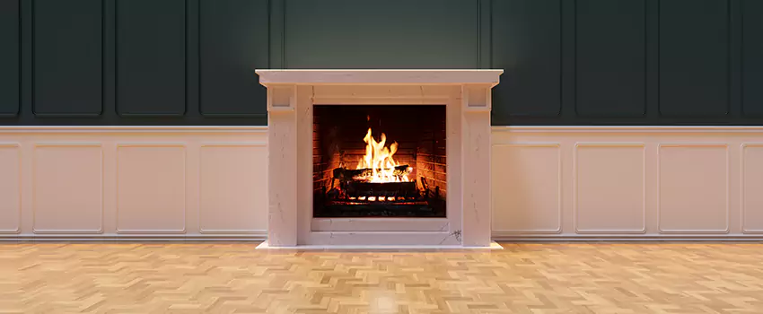 Napoleon Electric Fireplaces Inspection Service in St. Michael, Minnesota