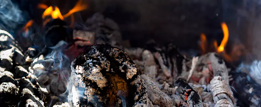 Creosote Removal Experts in St. Michael, MN