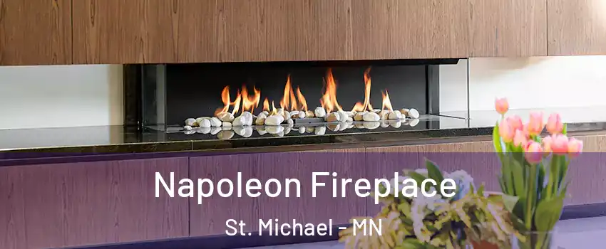  Napoleon Fireplace St. Michael - MN